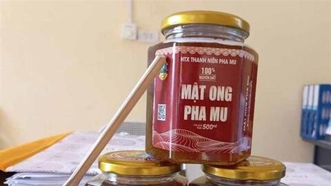 Hướng đi mới cho hiệu quả kinh tế cao của nông dân Than Uyên