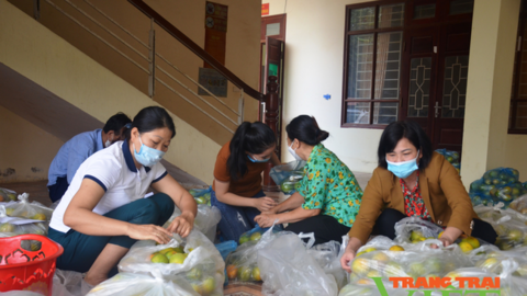Hội Nông dân tỉnh Điện Biên: Hỗ trợ tiêu thụ 10 tấn cam vàng Hà Giang