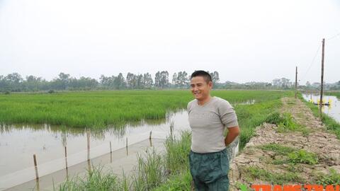 Hà Nam: Thấy ruộng bỏ hoang, anh nông dân "liều" thuê lại, nuôi cá kết hợp trồng lúa thu trăm triệu