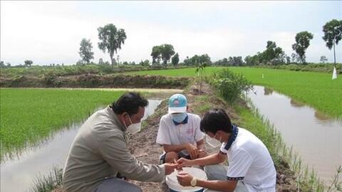 Bạc Liêu xây dựng thương hiệu “Lúa thơm – Tôm sạch”