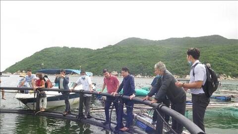 Nuôi cá biển bằng lồng nhựa HDPE thích ứng với biến đổi khí hậu ở Khánh Hòa