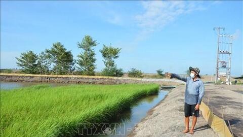 Anh Bùi Chí Nhân thu bạc tỷ từ mô hình nuôi cá linh, tôm càng xanh trong ruộng lúa