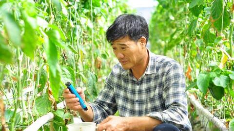 Miền Tây: Nông dân tiết kiệm 50% chi phí thuốc bảo vệ thực vật nhờ "siêu" máy bay không người lái