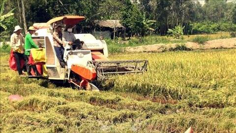 Sóc Trăng chuyển đổi cơ cấu nông nghiệp nâng cao hiệu quả cho nhà nông