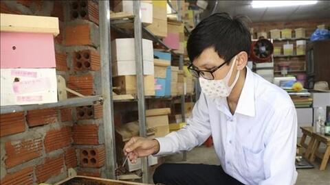 Mô hình khởi nghiệp nuôi ong dú cho hiệu quả kinh tế cao tại Ninh Thuận