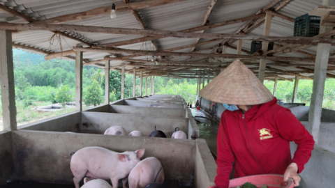 Chị Võ Thị Ánh Hương làm giàu từ mô hình kinh tế kết hợp