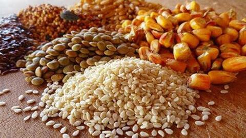 Từ 30/12, giảm thuế nhập khẩu thức ăn chăn nuôi trước sức ép tăng giá nguyên liệu