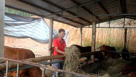 Ứng dụng khoa học – kỹ thuật phát triển giống vật nuôi