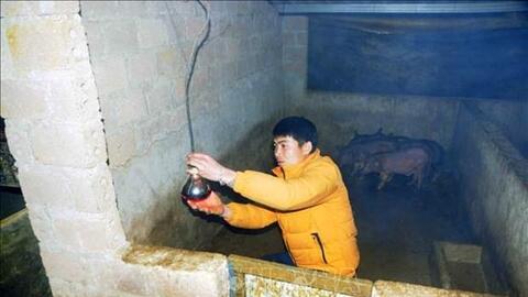 Phòng, chống rét cho đàn vật nuôi ở huyện Vân Hồ