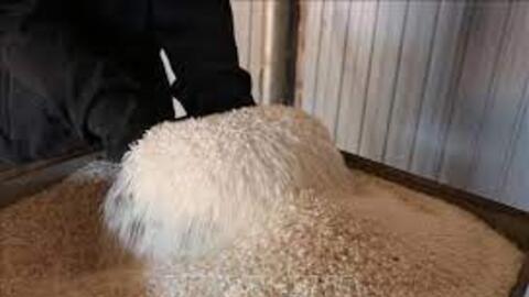 Khẳng định thương hiệu "hạt ngọc trời" của người Bahnar