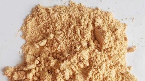 Tăng hệ miễn dịch cho tôm bằng chế phẩm từ hạt bơ