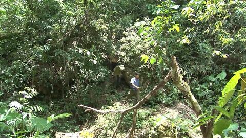 Về thủ phủ gỗ nghiến ở Điện Biên tận mắt thấy tài nguyên "vàng" được người dân bảo vệ nghiêm ngặt