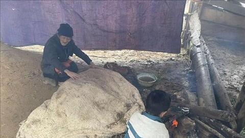 Sơn La khuyến cáo người dân tăng cường chăm sóc đàn gia súc khi giá rét