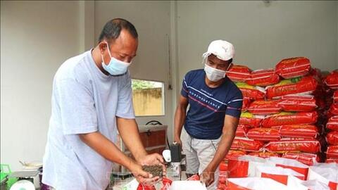 Trà Vinh khuyến khích nông dân sử dụng phân hữu cơ để giảm chi phí sản xuất