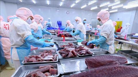 Ngành thủy sản đối mặt với muôn vàn gian khó trước căng thẳng Nga - Ukraine