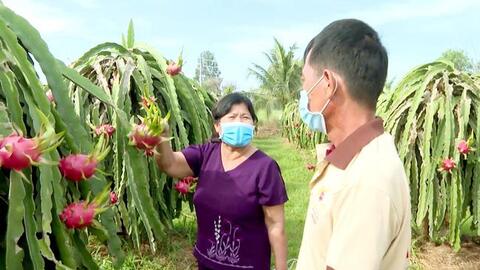 Người phụ nữ có biệt tài chế thanh long thành mứt, rượu, tương, sáng kiến đoạt giải Nhất
