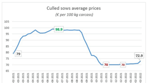 Giá thịt lợn trên thị trường Pháp tăng