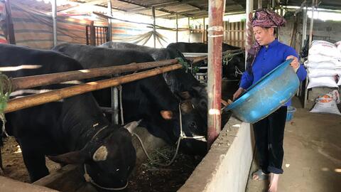 Khởi nghiệp từ kinh tế nông nghiệp