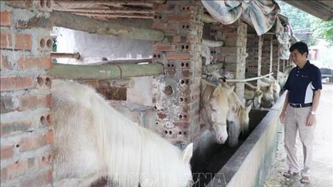 Bí quyết về đích đúng hẹn nông thôn mới nâng cao của xã Tức Tranh