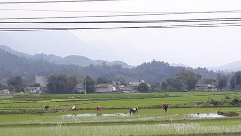 Nông thôn Tây Bắc: Tam Đường nỗ lực giảm nghèo bền vững