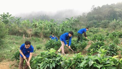 Nông thôn Tây Bắc: Những dấu chân tình nguyện của tuổi trẻ Sìn Hồ