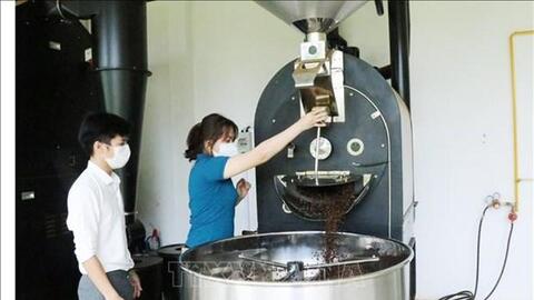 Chi phí sản xuất tăng, nông dân Đắk Lắk thay đổi phương thức canh tác