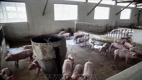 Lai Châu hạn chế thấp nhất những rủi ro khi tái đàn