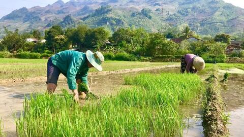 Mường La nhiều giải pháp hữu hiệu phát triển kinh tế