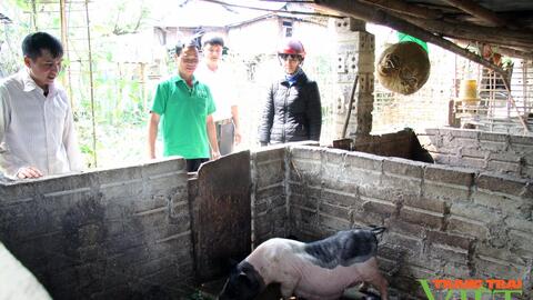 Lai Châu: Thi đua sản xuất kinh doanh giỏi ở Mường Cang