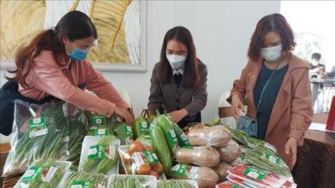 Trao văn bằng bảo hộ sản phẩm nông nghiệp chủ lực, đặc sản tiêu biểu của Gia Lai
