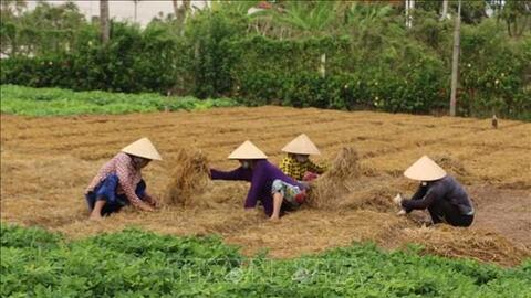 Hà Nội khuyến khích phát triển mô hình nông nghiệp tuần hoàn