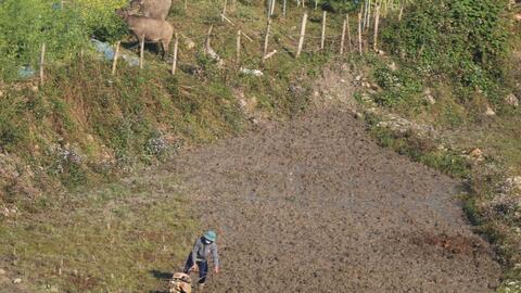 Nông dân Sa Pa chuẩn bị gieo cấy lúa mùa
