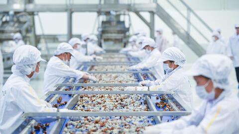 Ban hành Đề án “Đảm bảo an toàn thực phẩm, nâng cao chất lượng nông lâm thủy sản giai đoạn 2021-2030”