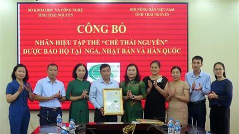 Thương hiệu chè Thái Nguyên vươn ra thế giới