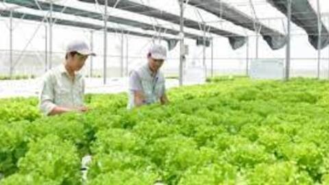 Sản xuất nông nghiệp theo hướng kinh tế tuần hoàn