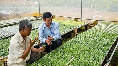 Hiệu quả từ Dự án rau an toàn Bình Định