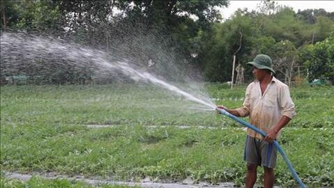 Khuyến khích dùng phân hữu cơ giảm chi phí sản xuất nông nghiệp ở Trà Vinh