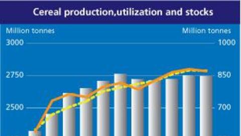 Dự báo sản lượng, tiêu thụ, xuất khẩu ngũ cốc thế giới năm 2022/23 giảm