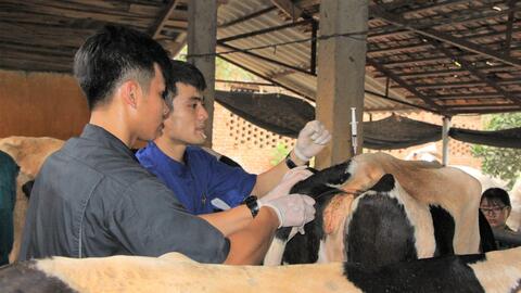 Nguồn nhân lực chăn nuôi thú y: Sức ép của doanh nghiệp?