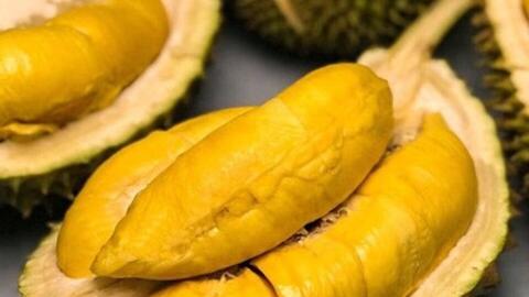 Quản lý và phát triển nhãn hiệu sầu riêng Tân Thới