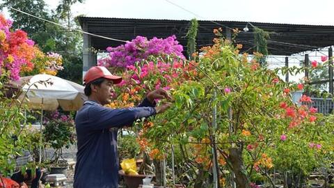 Đồng Tháp công nhận Làng nghề hoa giấy ấp Tân Thuận A - Tân Thuận B