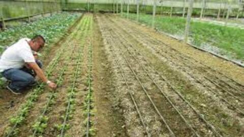 Lâm Đồng khuyến khích áp dụng các công nghệ mới vào sản xuất, tưới tiết kiệm