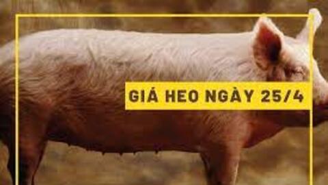 Giá sản phẩm chăn nuôi ngày 25/4/2023 của một số doanh nghiệp lớn