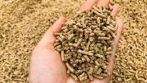 8 mẹo giúp tăng độ bền viên thức ăn