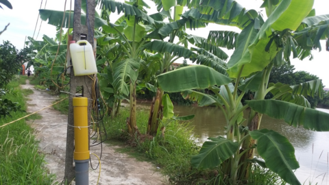 "Góc khuất" chuyển đổi số nông nghiệp: Khi hệ thống cảm biến dưới ao cá bị đưa... lên bờ (Bài 1)