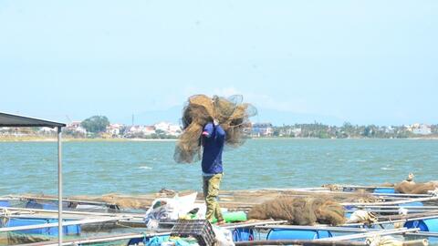 Nuôi biển tự nhiên, phát triển nguồn lợi thủy sản bền vững