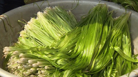 Loại rau trước nhổ vứt đi, ai ngờ ngày nay ví như "lộc trời" giá 200.000 đồng/kg