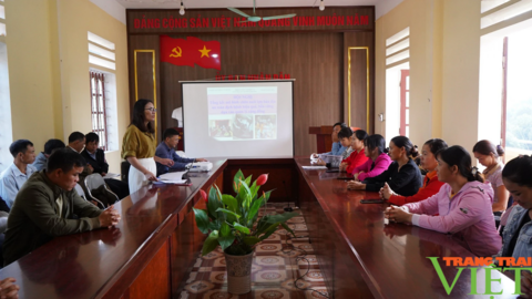 Hiệu quả mô hình nuôi lợn đen bản địa an toàn ở Lào Cai