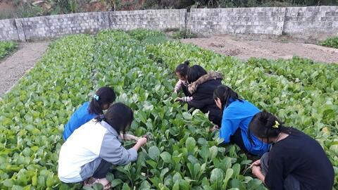 Nâng cao chất lượng bữa ăn bán trú cho học sinh vùng cao Điện Biên Đông
