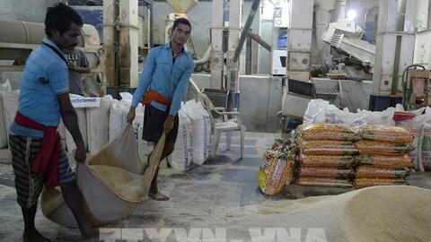 Giá gạo tăng cao tiếp tục gây sức ép lạm phát ở châu Á